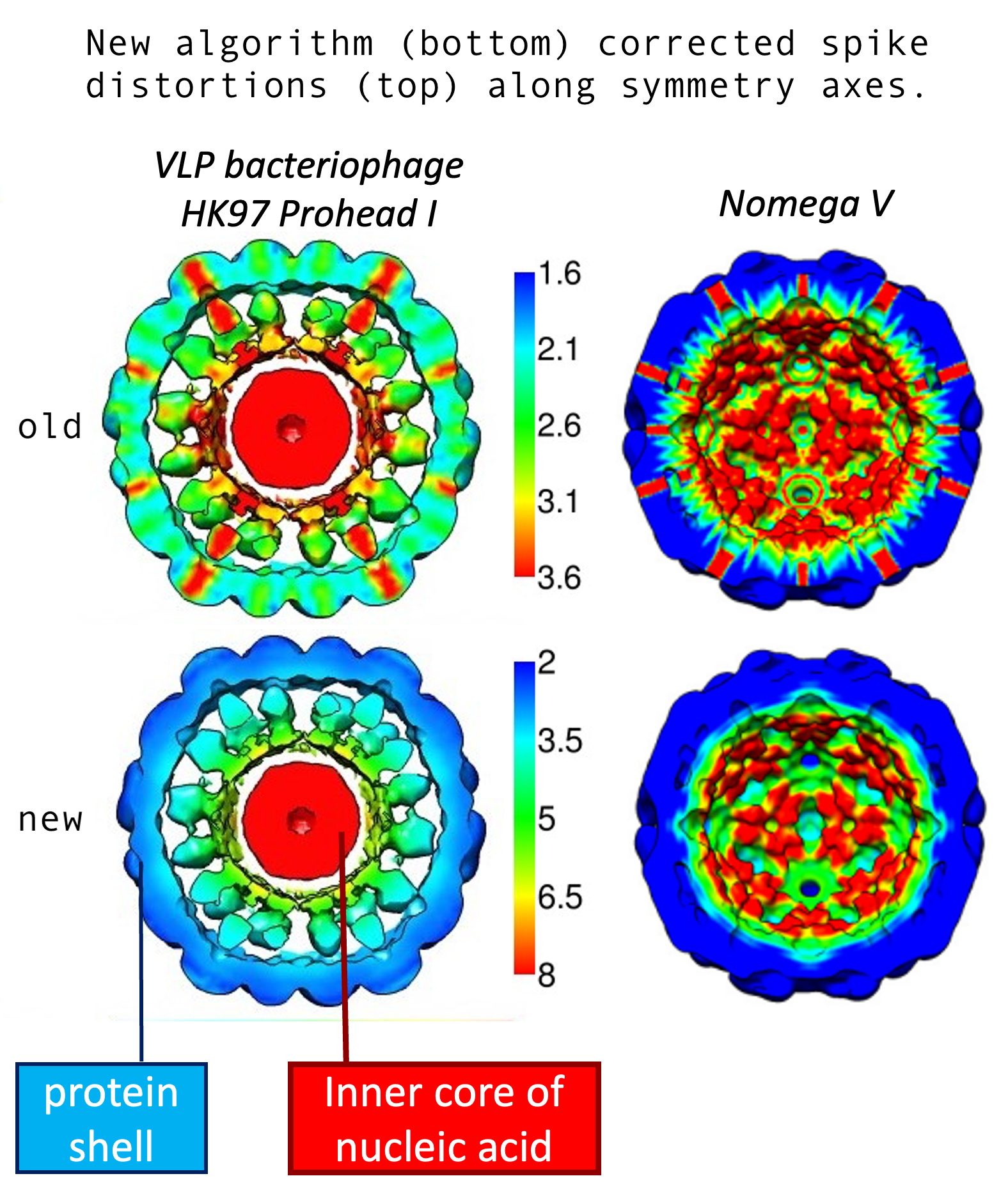 Reconstruction of Stochastic 3D Signals With Symmetric Statistics From 2D Projection Images Motivated by Cryo-Electron Microscopy