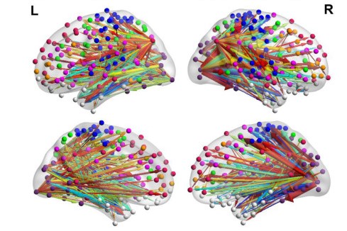 Spatiotemporal functional interactivity among large-scale brain networks